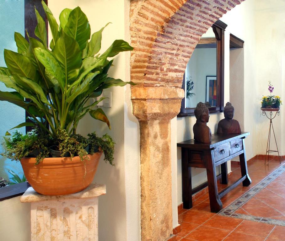 Suite Colonial Santo Domingo Exteriér fotografie